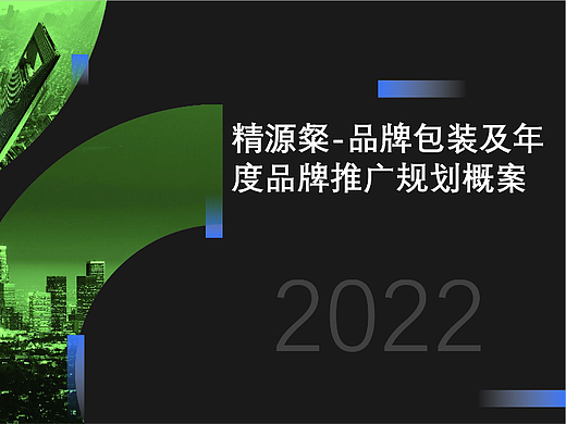 精源案-品牌包装及年度品牌推广规划概案