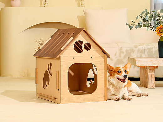 宠物窝/狗窝和猫窝/产品摄影