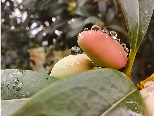 想吃