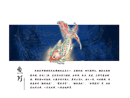 关注