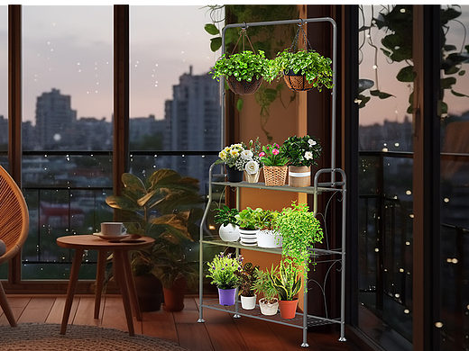 亚马逊植物架