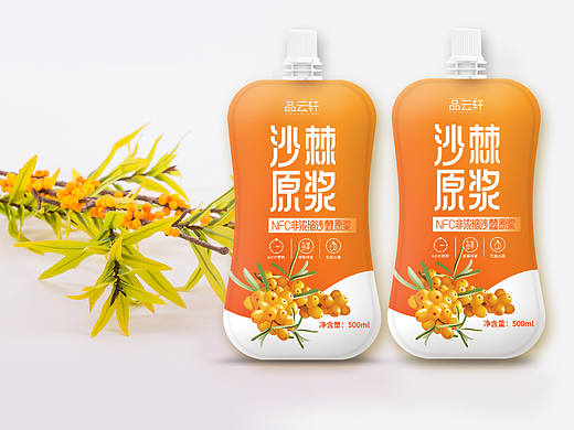 沙棘