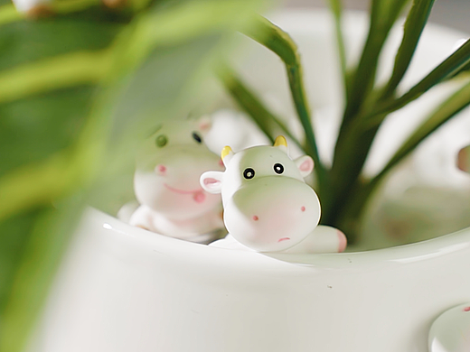 奶牛爱喝牛奶