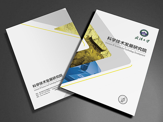 武大科学技术发展研究院 介绍画册