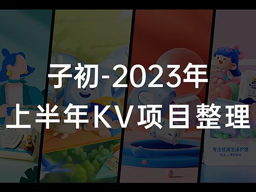 子初-2023年上半年KV项目整理