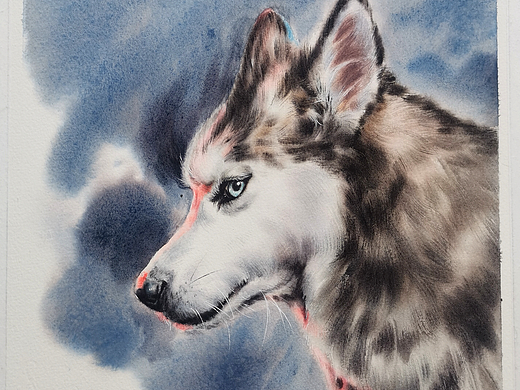 水彩狗狗