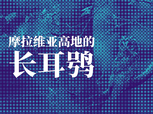 【第二十二天】复古半调效果