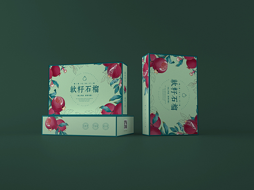 原创手绘突尼斯软籽石榴包装设计