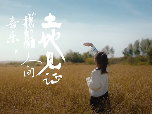 氛围感诗短片《人间丰收》