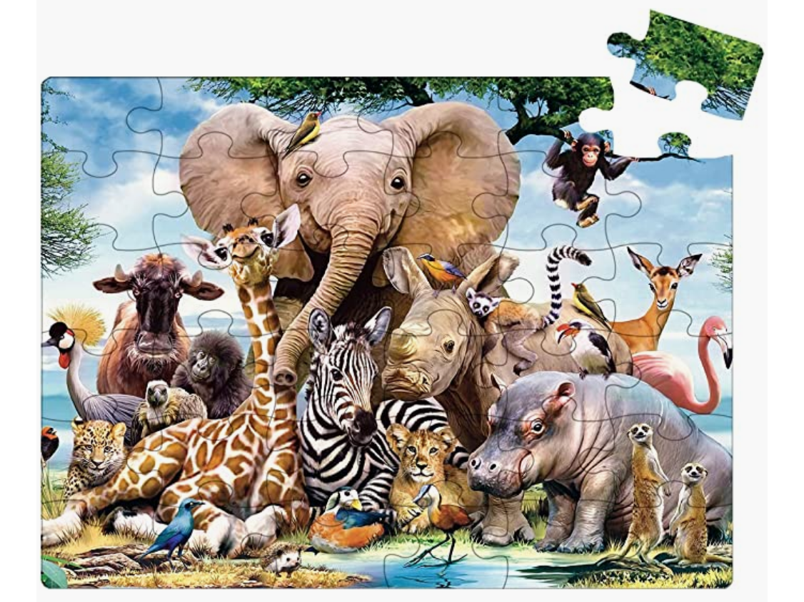 动物世界超清壁纸-动物美图-屈阿零可爱屋