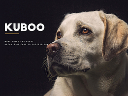 宠物品牌网页视觉丨酷宝