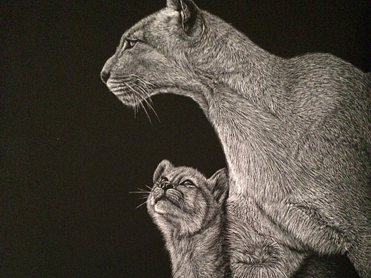 李子哥动物亲子系列刮画之《你的样子》