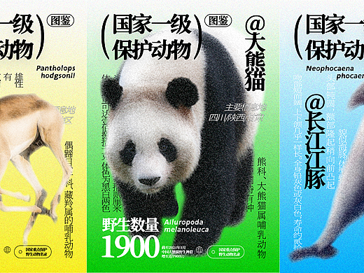 集换式卡牌 | 国家一级保护动物图鉴