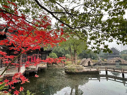 。。