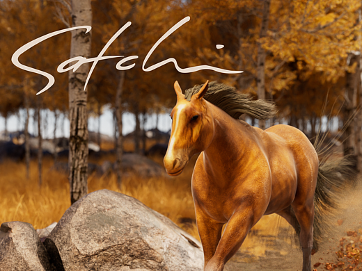 沙驰品牌裸眼3D项目