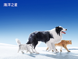 详情