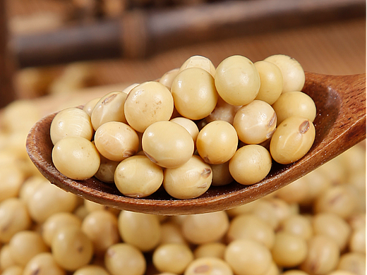 大豆农产品拍摄商品食品拍照电商摄影美食菜品拍照