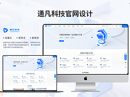 网站