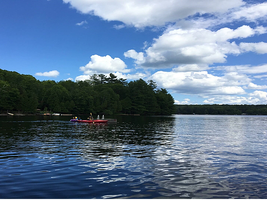 山寨高清動(dòng)態(tài)壁紙（個(gè)人主頁-ZMTQxMTA4MA==） - 其他 - 站酷設(shè)計(jì)師檸檬吥萌原創(chuàng)素材 - 站酷ZCOOL