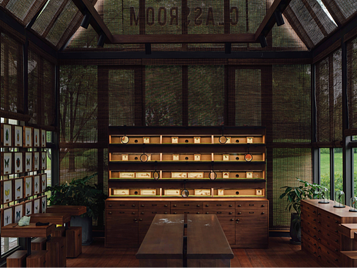 《自然课堂》氛围摄影