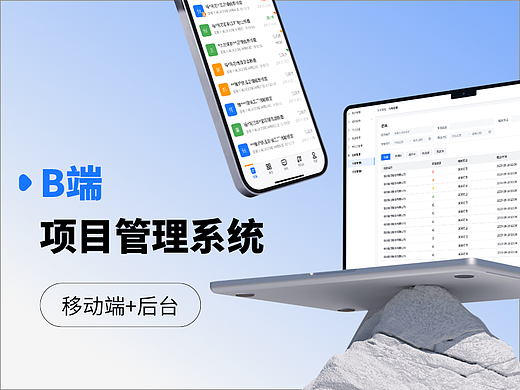 B端项目管理系统