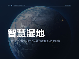 数据可视化-湿地公园
