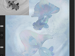 【绘画星球】色彩打卡挑战DAY2 金鱼 朦胧的氛围感