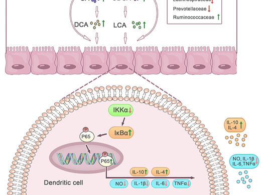 野马科研绘图欣赏
