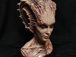 海螺小姐一卡拉格里拉