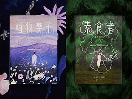 方案