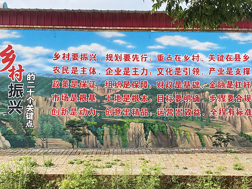 美丽乡村振兴乡村文化墙墙体彩绘壁画涂鸦油画风景