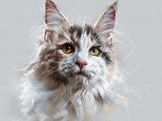 猫158（个人主页-ZNjY2MjYwNjQ=） - 创作习作 - 站酷设计师cuin62原创素材 - 站酷ZCOOL