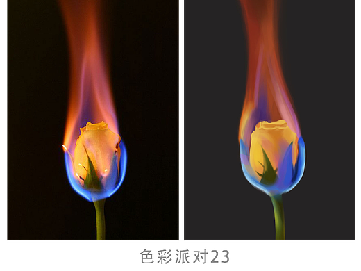 绘画星球打卡23