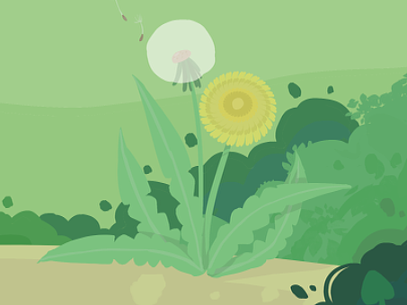 蒲公英（个人主页-ZNTk2OTA2NjQ=） - 绘本 - 站酷设计师星拱月原创素材 - 站酷ZCOOL