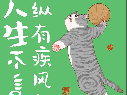 画猫的1500天记录!猫咪带给你的快乐，让你无法自拔！