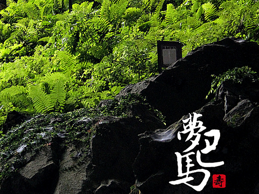 家鄉(xiāng)三折葉（個人主頁-ZNjQ2NjA2NjQ=） - 海報 - 站酷設(shè)計師極品好男孩原創(chuàng)素材 - 站酷ZCOOL