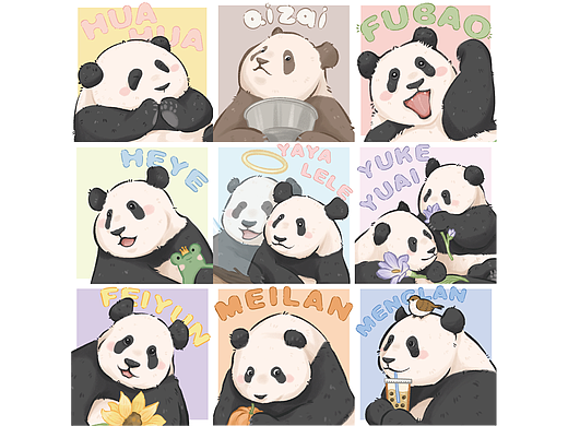 熊猫插画|我的心上熊们