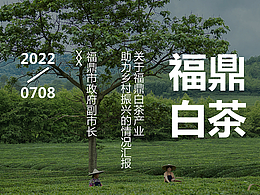 政府匯報(bào)PPT