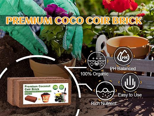 Amazon亚马逊主图/A+