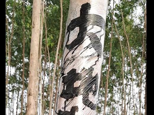 大地书写 I 林奕江手写作品