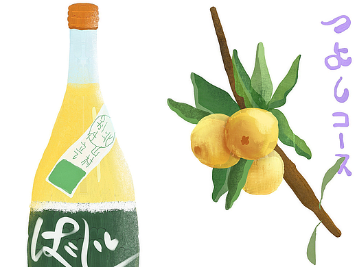 怀念和歌山山村柑橘酒