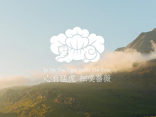 虎朵咖啡品牌设计