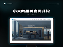 品牌全案