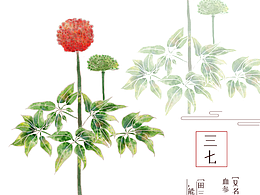 插画