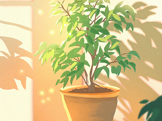 独自绚烂的植物