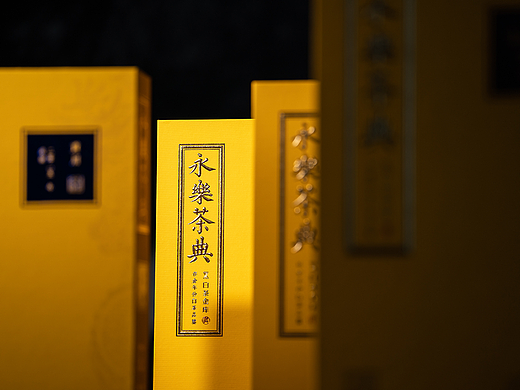 【东集Tonji】白茶金库·永乐茶典福鼎白茶拍摄