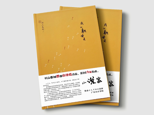 我的职业是小说家