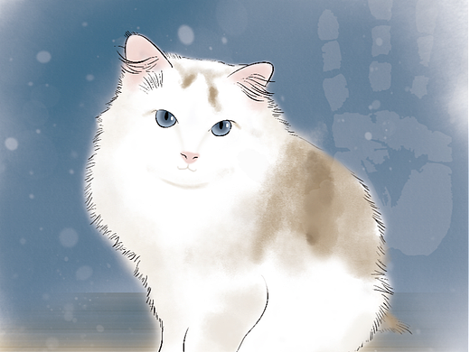 小猫朵朵文创商业插画