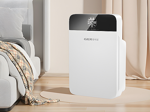 坚果 X 空气进化器