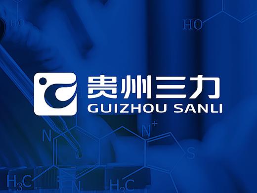 贵州三力制药品牌形象升级/ 上行设计